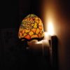 plug in dragonfly light