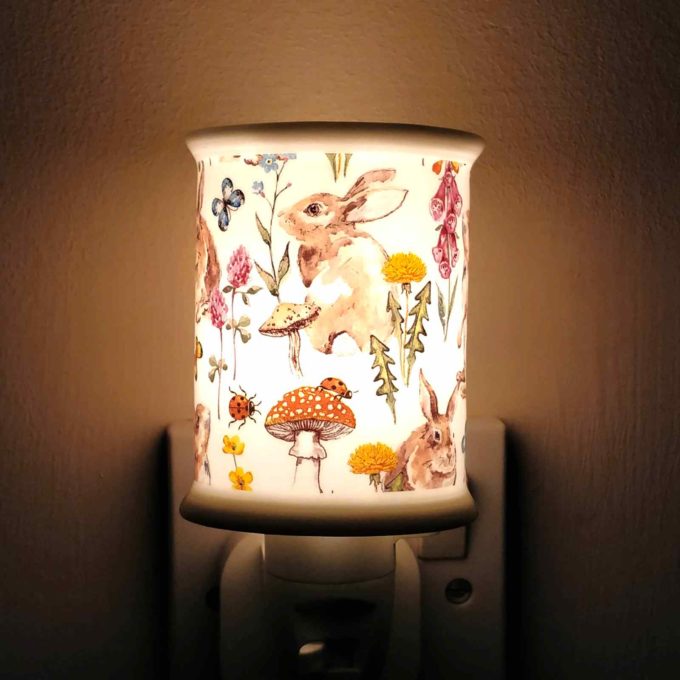 countryside night light