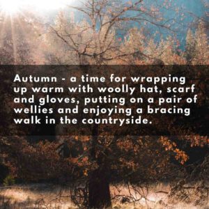 Read more about the article Autumn to Winter