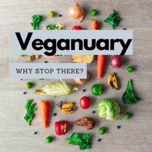 Read more about the article January – Veganuary – why stop there…..