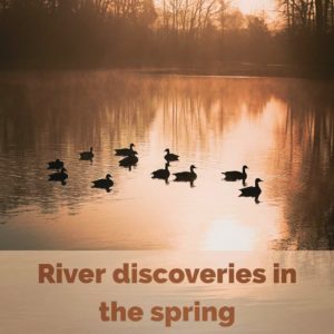 Read more about the article River discoveries in the spring 2021